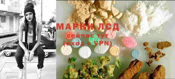 стаф Абинск