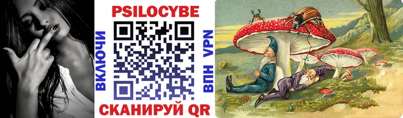 Галлюциногенные грибы Magic Shrooms  наркошоп  Когалым 